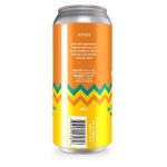 Backcountry Brewing - So You're Telling Me There's A Chance | Mango Sour - Back of Can