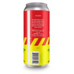 Backcountry Brewing | You Had An Extra Pair Of Gloves This Whole Time | Cherry Lime Sour - Back of Can