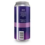 Backcountry Brewing | I Think We're Alone Now | Sabro, Galaxy and Strata IPA - Back of Can