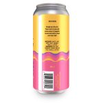 Backcountry Brewing | I Used To Think You Were Crazy But Now I Can See Your Nuts | Coconut Cream Pie Sour - Back of Can
