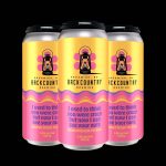 Backcountry Brewing | I Used To Think You Were Crazy But Now I Can See Your Nuts | Coconut Cream Pie Sour - Pack of Cans