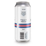 Backcountry Brewing | Haven't We Had This Conversation Before | Czech Pilsner - Back of Can