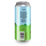 Backcountry Brewing | Thank God I Brough My Hiking Loafers | Bavarian Lager - Back of Can