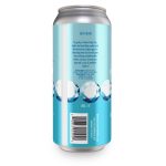 Backcountry Brewing | It Costs A Lot Of Money To Look This Cheap | American Light Lager - Back of Can