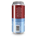 Backcountry Brewing | Boy That Escalated Quickly | Blackberry Raspberry Marshmallow Sour - Back of Can