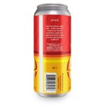 Backcountry Brewing | Loud Noises! | Banana Passionfruit Sour - Back of Can
