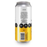 Backcountry Brewing | Mine Goes To Eleven | Mango Coconut Lime Sour - Back of Can