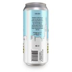 Backcountry Brewing | Can Somebody Please Remove These Cutleries From My Knees | Dry Hopped Lager - Back of Can
